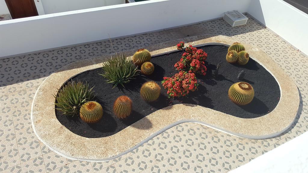 Panelo Cactus Apartment Puerto del Carmen  Exteriér fotografie